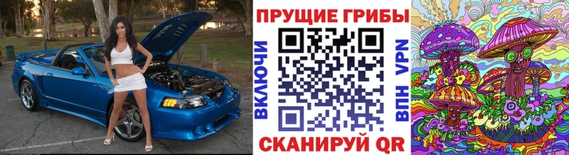 Галлюциногенные грибы Cubensis Усть-Джегута