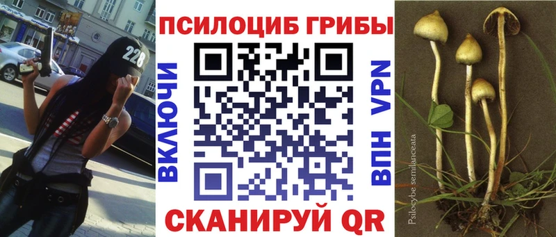 Псилоцибиновые грибы Magic Shrooms Усть-Джегута