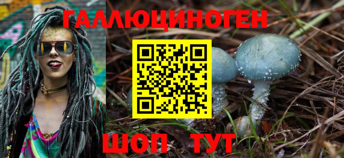 Усть-Джегута  Псилоцибиновые грибы мухоморы  Вход с VPN 