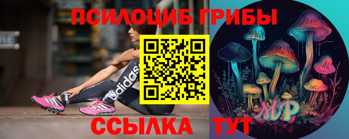Псилоцибиновые грибы Psilocybe Усть-Джегута